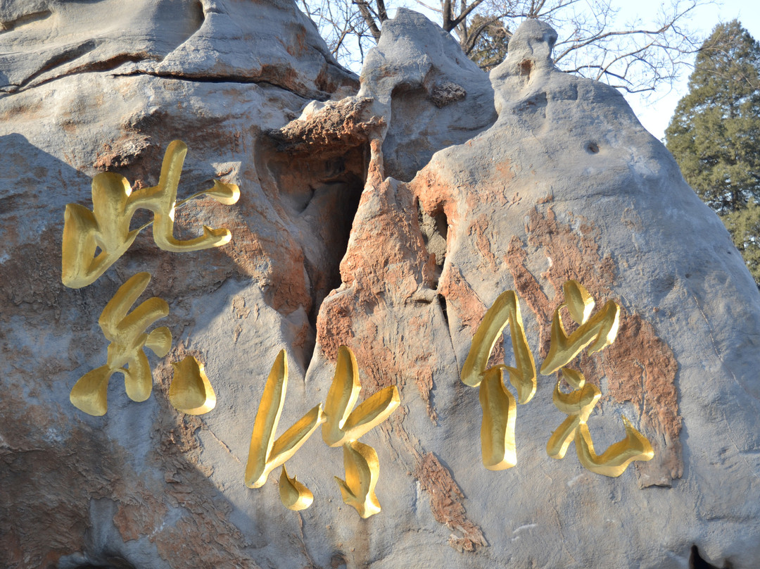 紫竹院公园-北京市必去景点