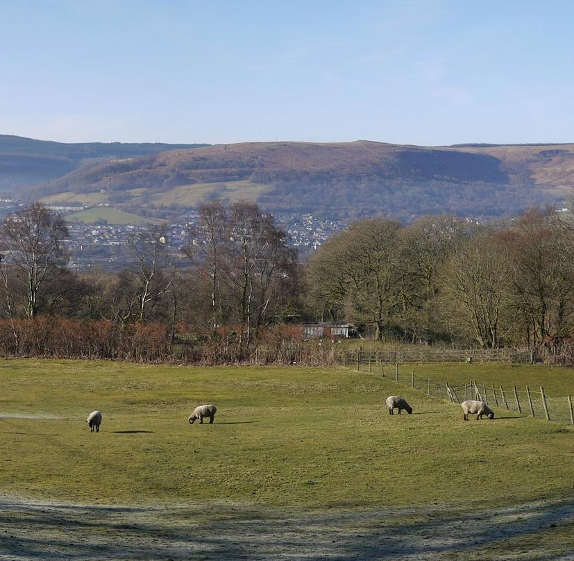 Cwmaman酒店住宿-布莱恩奈特格罗斯农场小屋酒店
