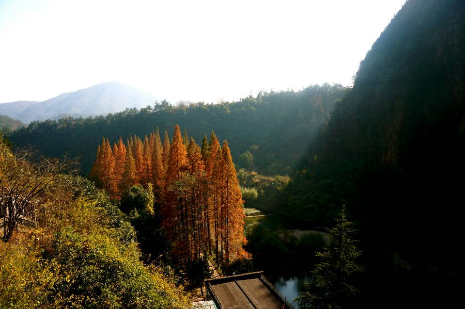 五泄国家森林公园景点图片