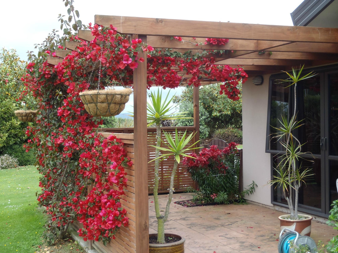 Ohau Highland Bed and Breakfast主图