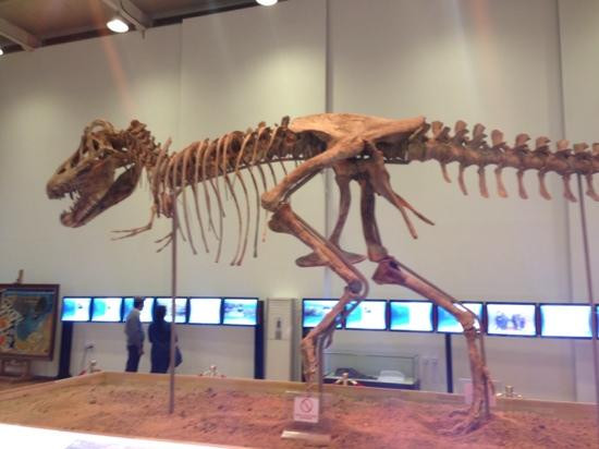 The Natural History Museum Of Mongolia-乌兰巴托必去景点