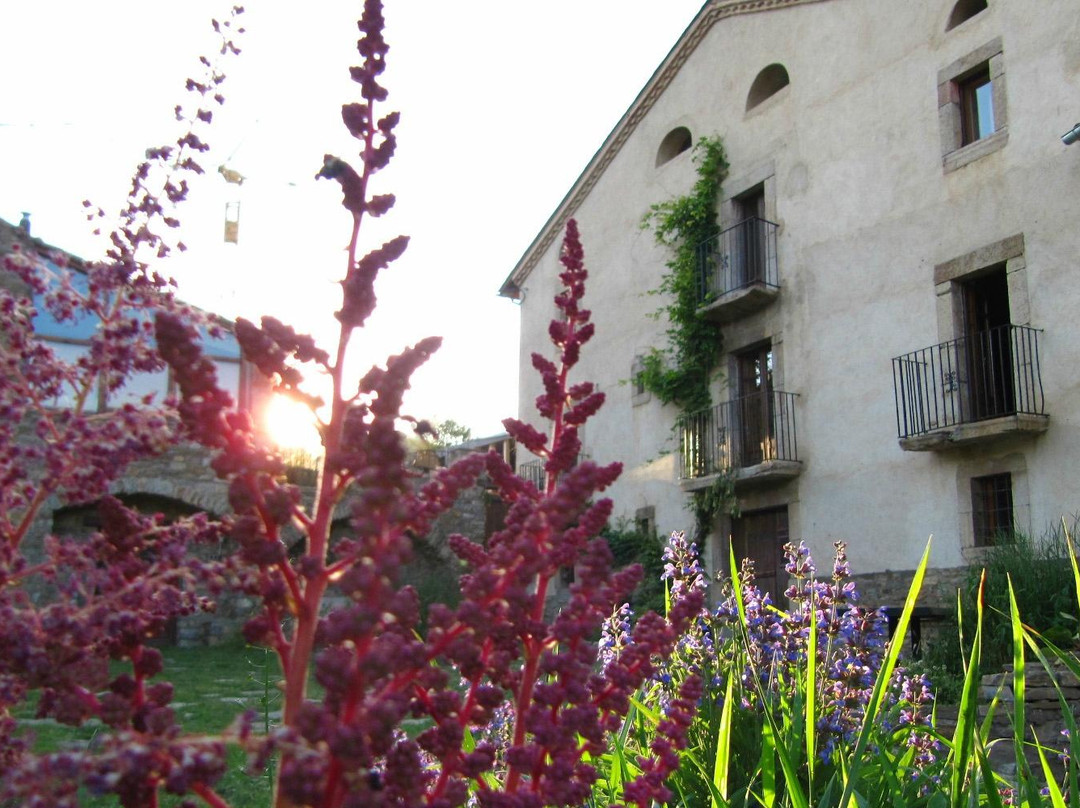 Cal Calsot Casa Rural "Adults Only"
