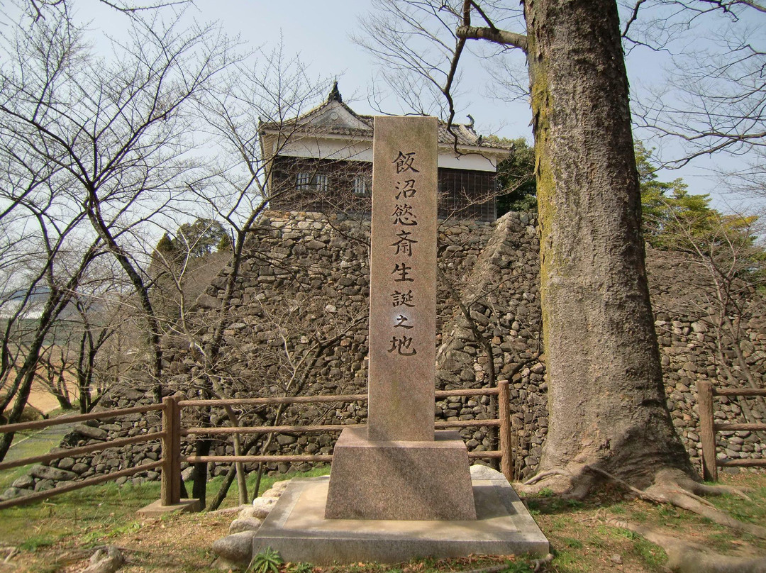 Kameyamajo Ato景点图片