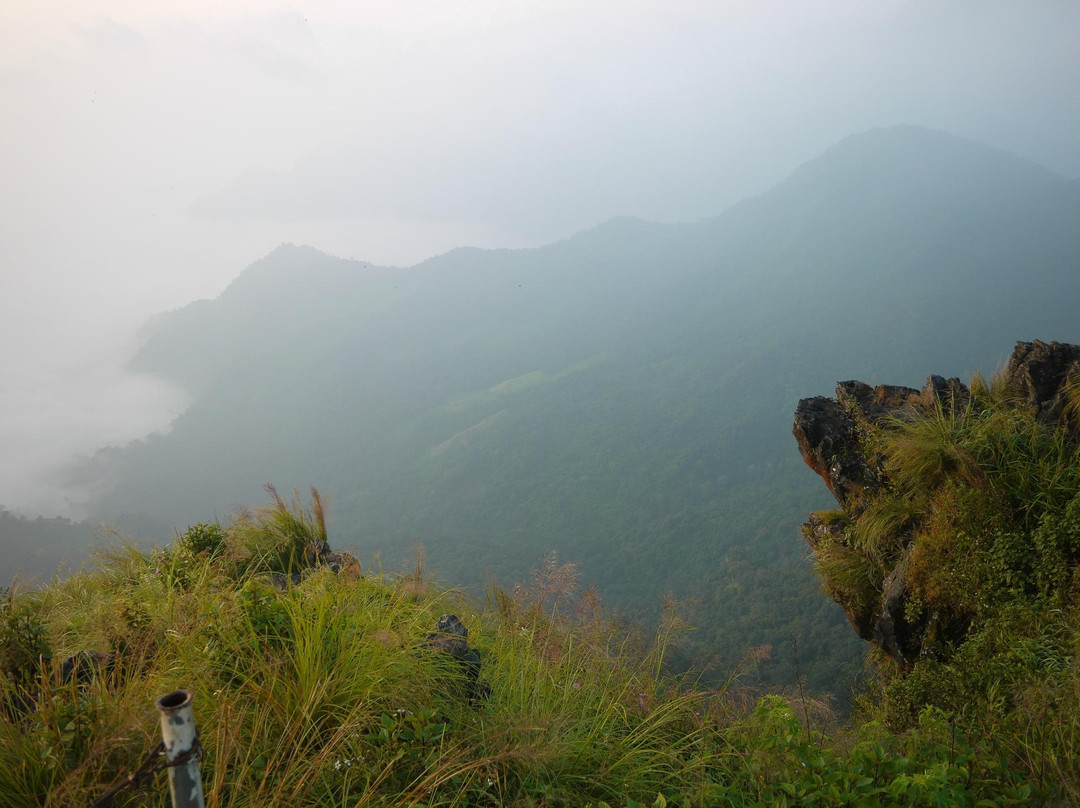 Phu Chi Fa Forest Park-汤县必去景点