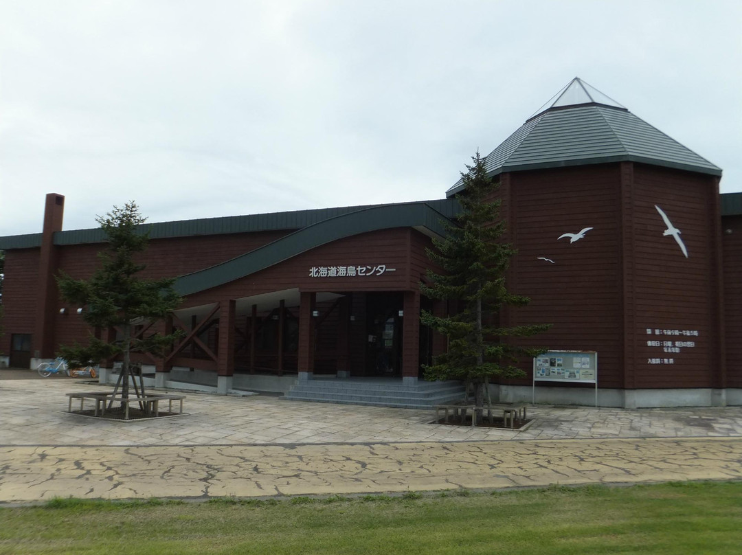 Hokkaido Seabird Center景点图片