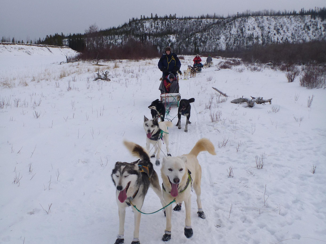 Muktuk Adventures-白马市必去景点