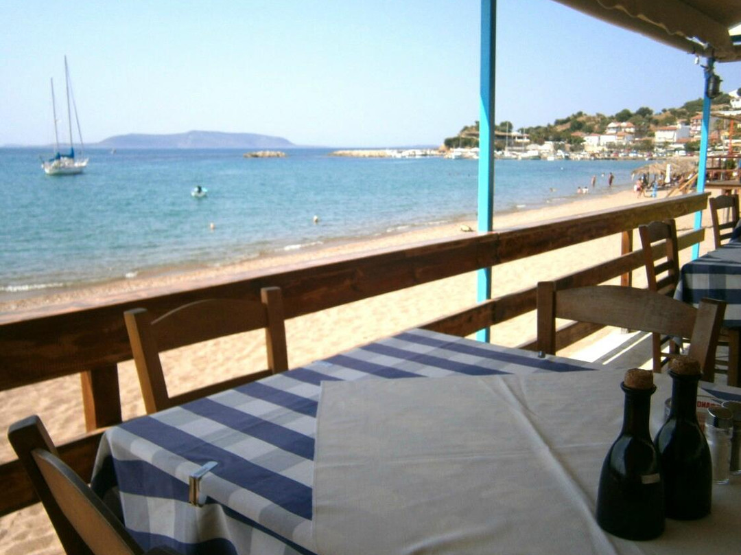 Finikounda餐馆和美食-Restaurant OINOYSSES Finikounda