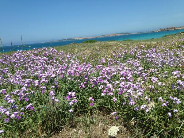 Agriturismo Saboriantigu-客卧