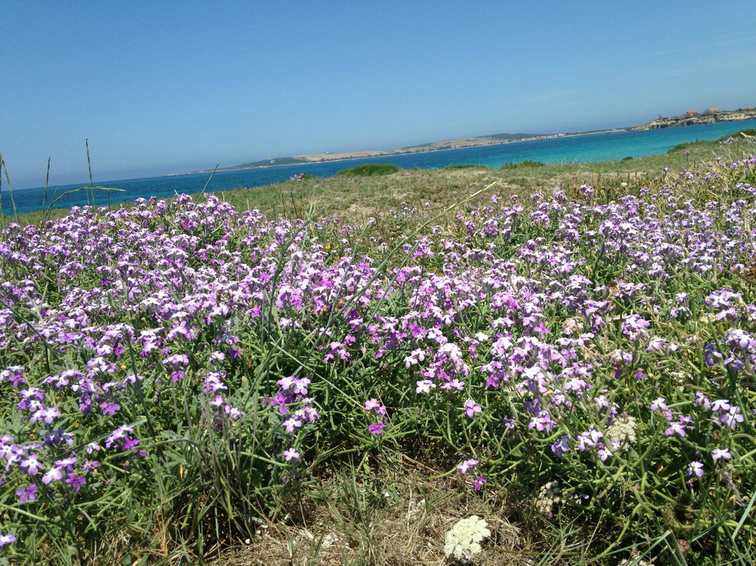Agriturismo Saboriantigu主图