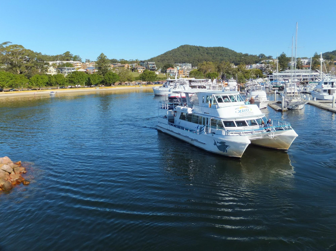 Port Stephens Parasailing-尼尔森湾必去景点