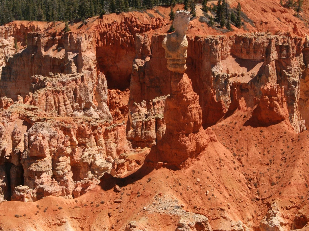 Ponderosa Canyon-布莱斯必去景点