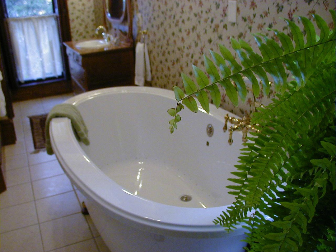 White Swan Inn Bed & Breakfast主图