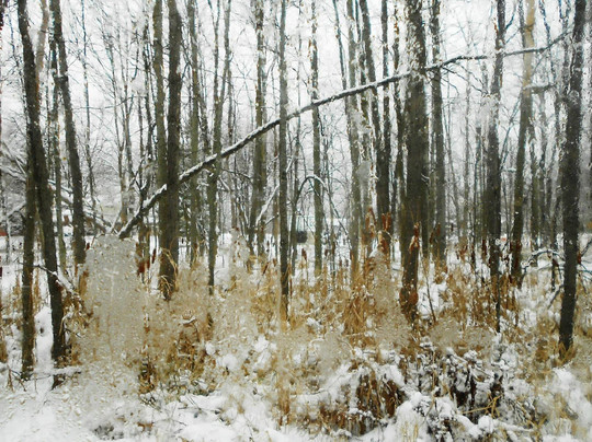 Miller Nature Preserve-Avon必去景点