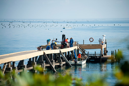 Atlas Pearls North Bali-佩母德兰必去景点