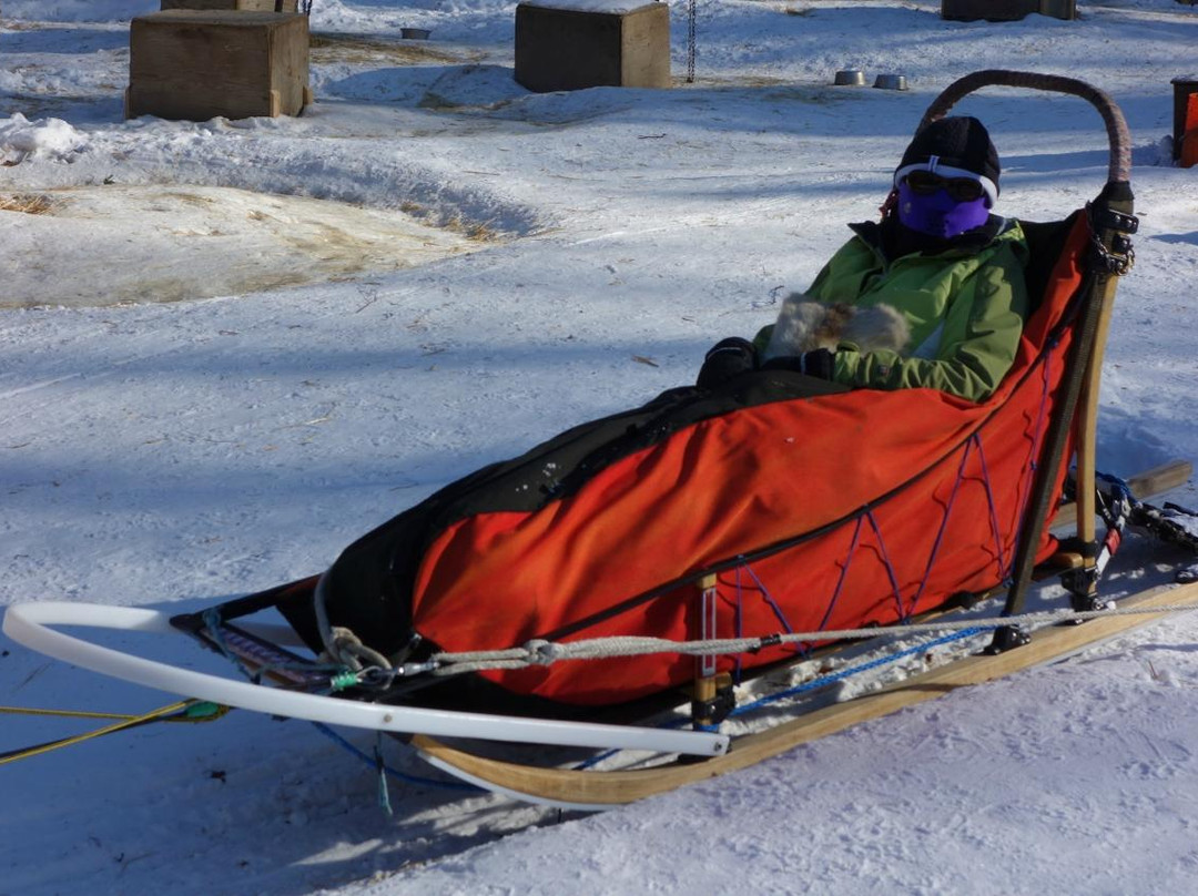 Muzzy's Place Dogsled Adventure -  Day Tours-费尔班克斯必去景点
