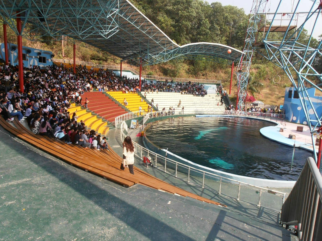 深圳野生动物园-深圳市必去景点