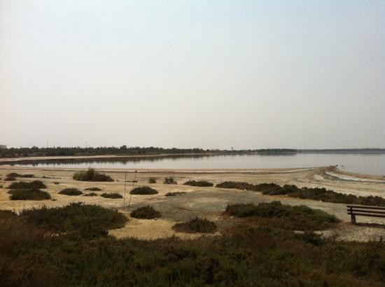 Larnaka Salt Lake-拉纳加必去景点