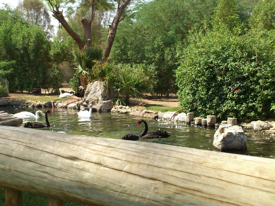 Kuwait Zoo-Kuwait City必去景点