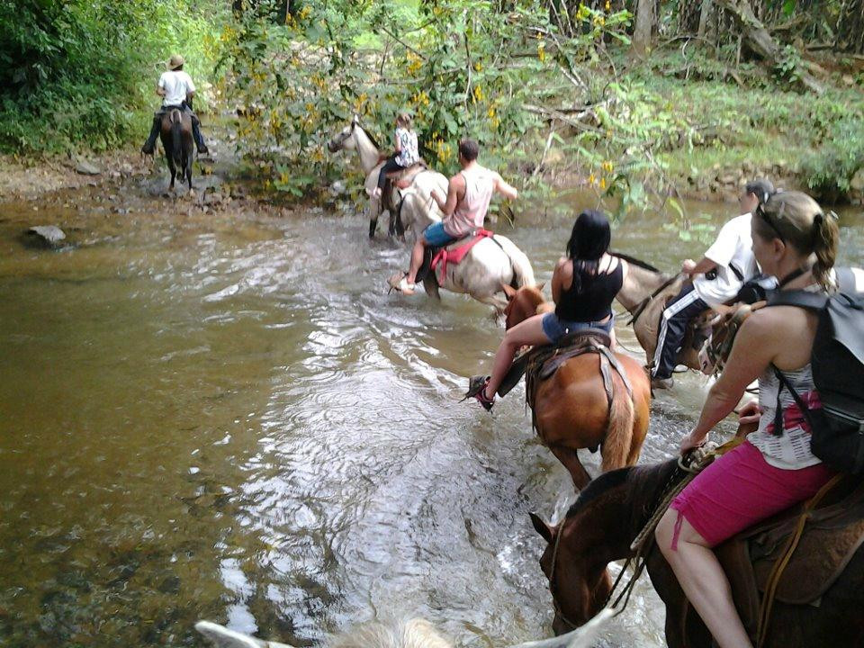 Baru Waterfall Adventure Tours景点图片