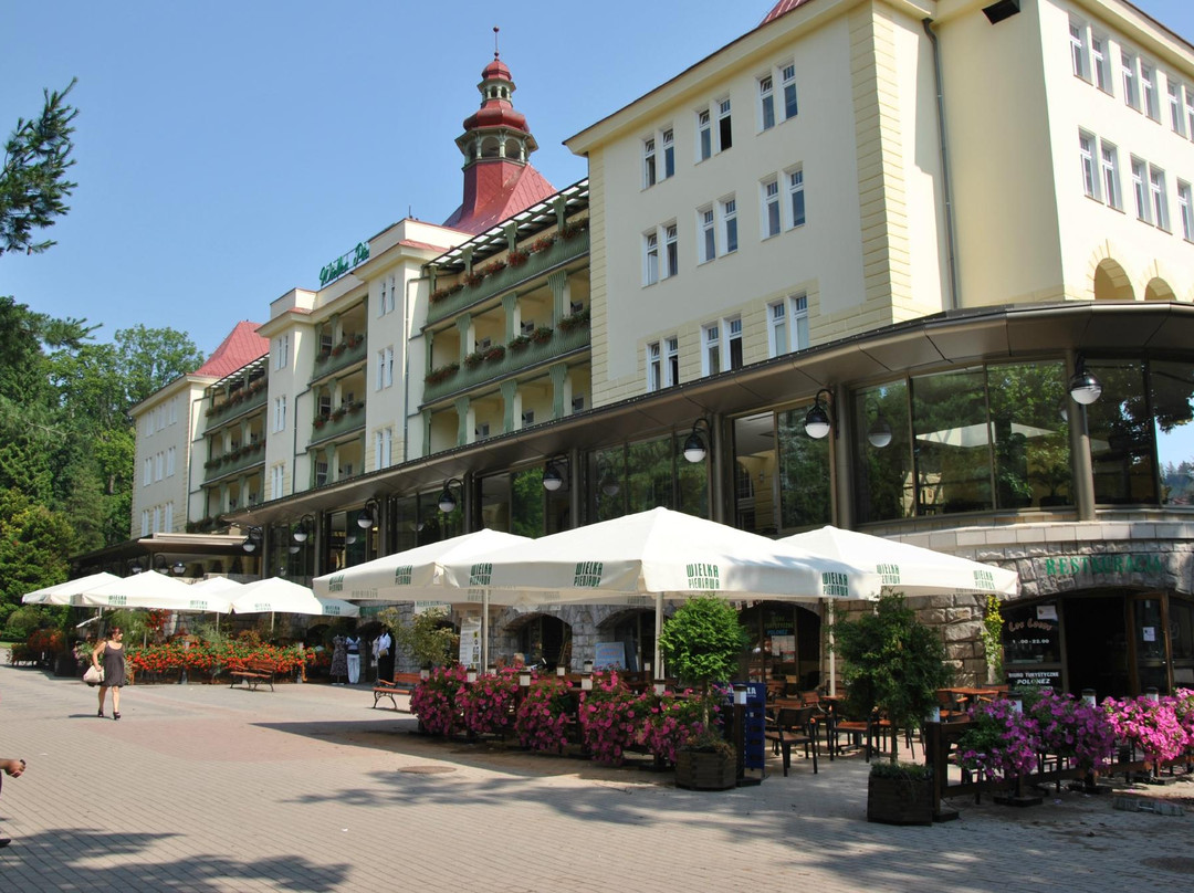 Wielka Pieniawa