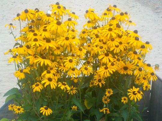 Thunder Mountain Line-Horseshoe Bend必去景点