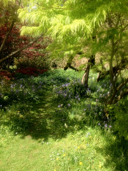 Botanical Gardens at Victoria Park-巴斯必去景点