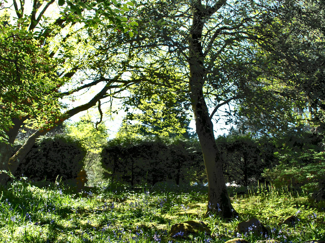 西雅图红酒之旅-西雅图必去景点