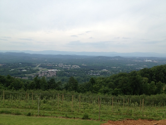 Carter Mountain Orchard-夏洛茨维尔必去景点