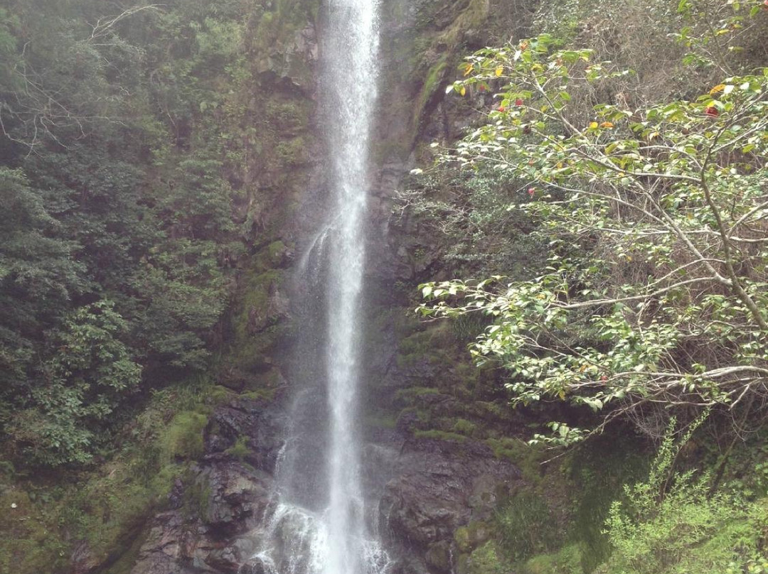 Ryuo Fall-大豊町必去景点