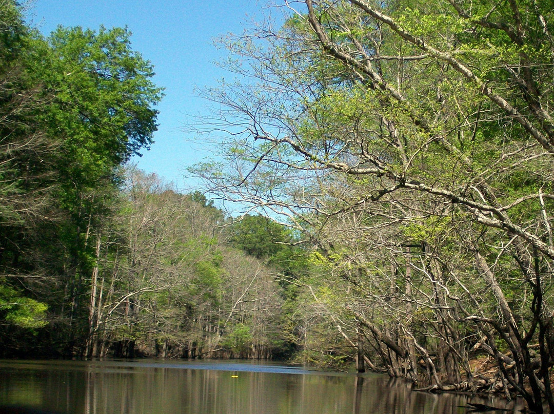 Turning Basin Riverboat Tours-Jefferson必去景点