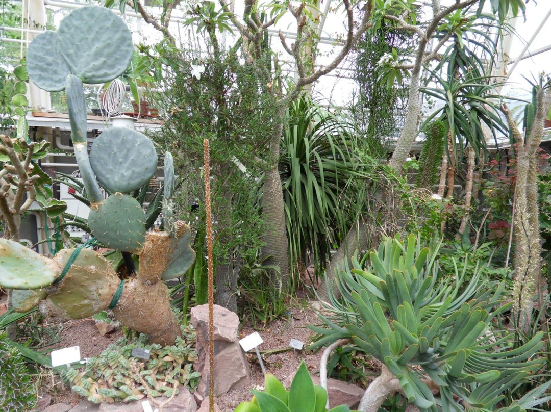 Turku University Botanical Garden-土尔库必去景点