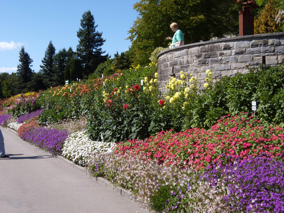 Gasthaus Rebstock主图