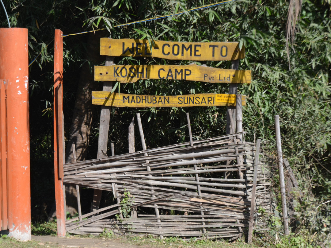 Koshi Tappu Wildlife Reserve-东部地区必去景点