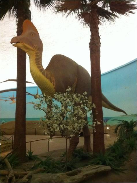 Sternberg Museum of Natural History-Hays必去景点