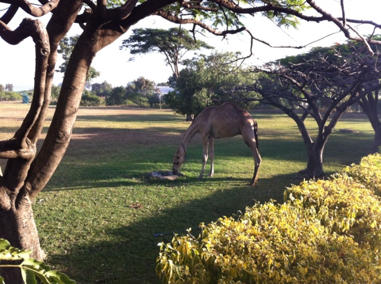 Homa Bay Tourist Hotel-客卧