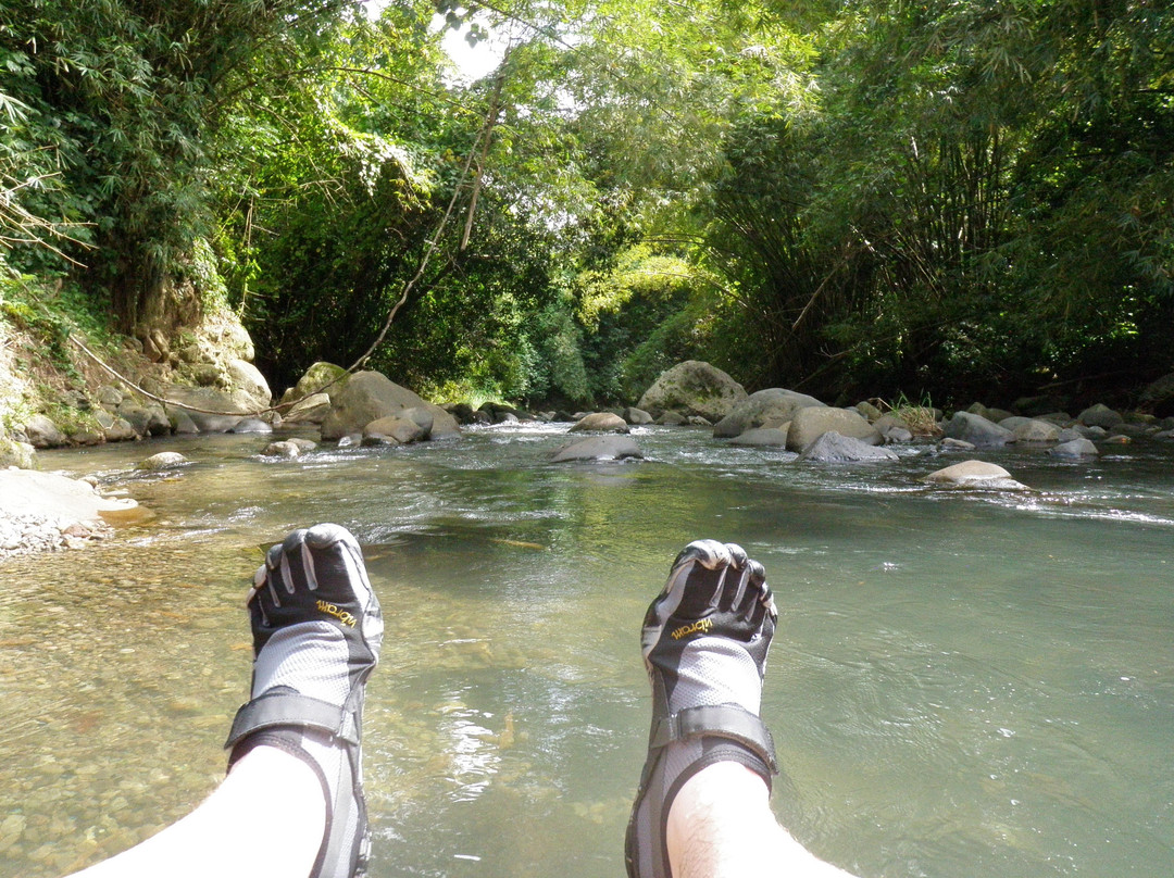 Adventure Tours Grenada - Caribbean-St. George's必去景点