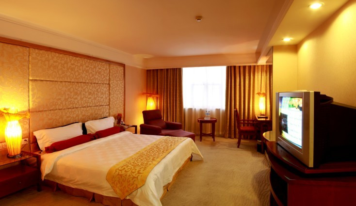 好来登大酒店主图