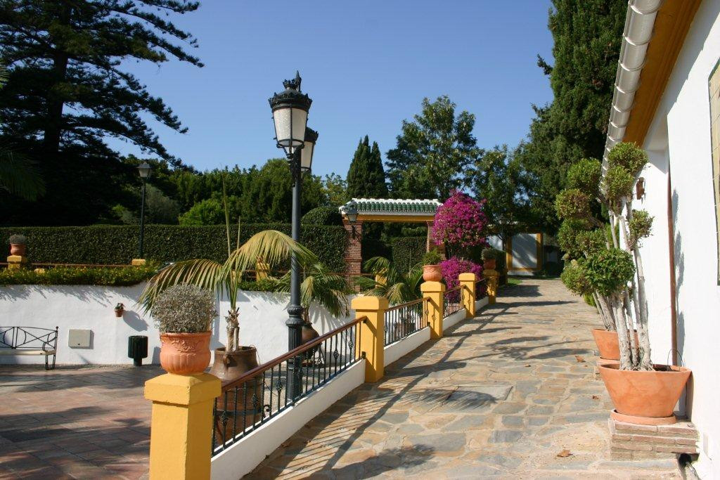 Jardin Botanico Molino de Inca景点图片
