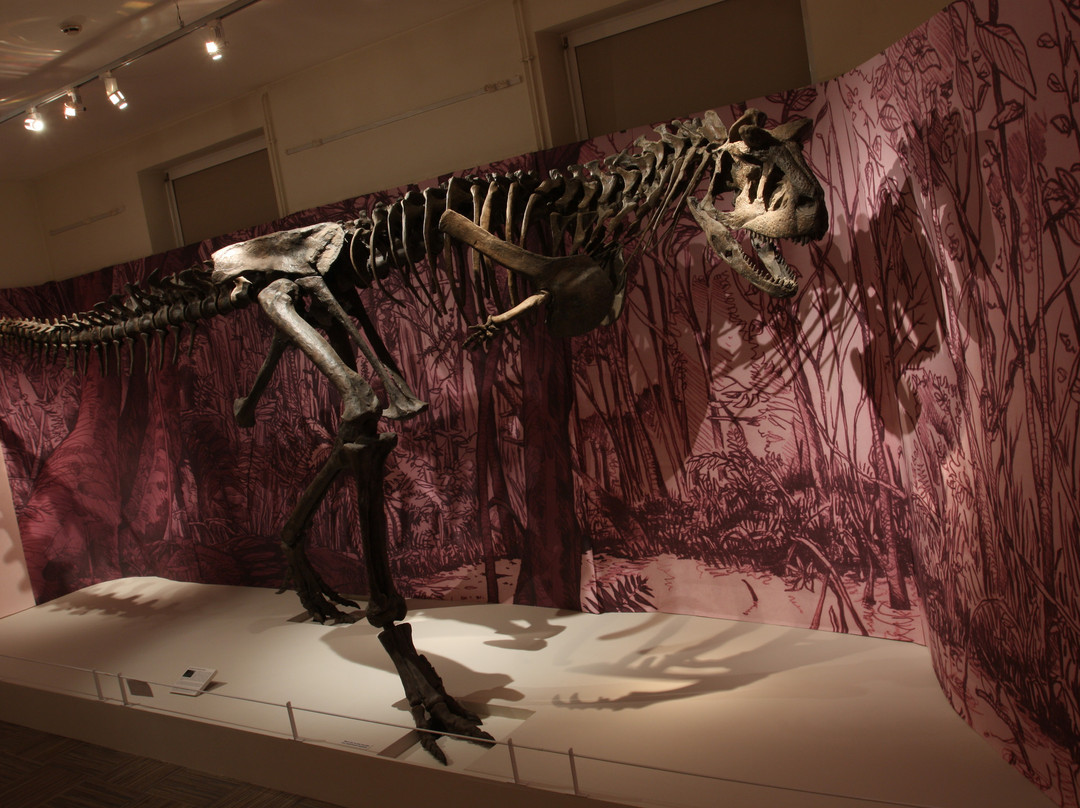Musee Vert景点图片