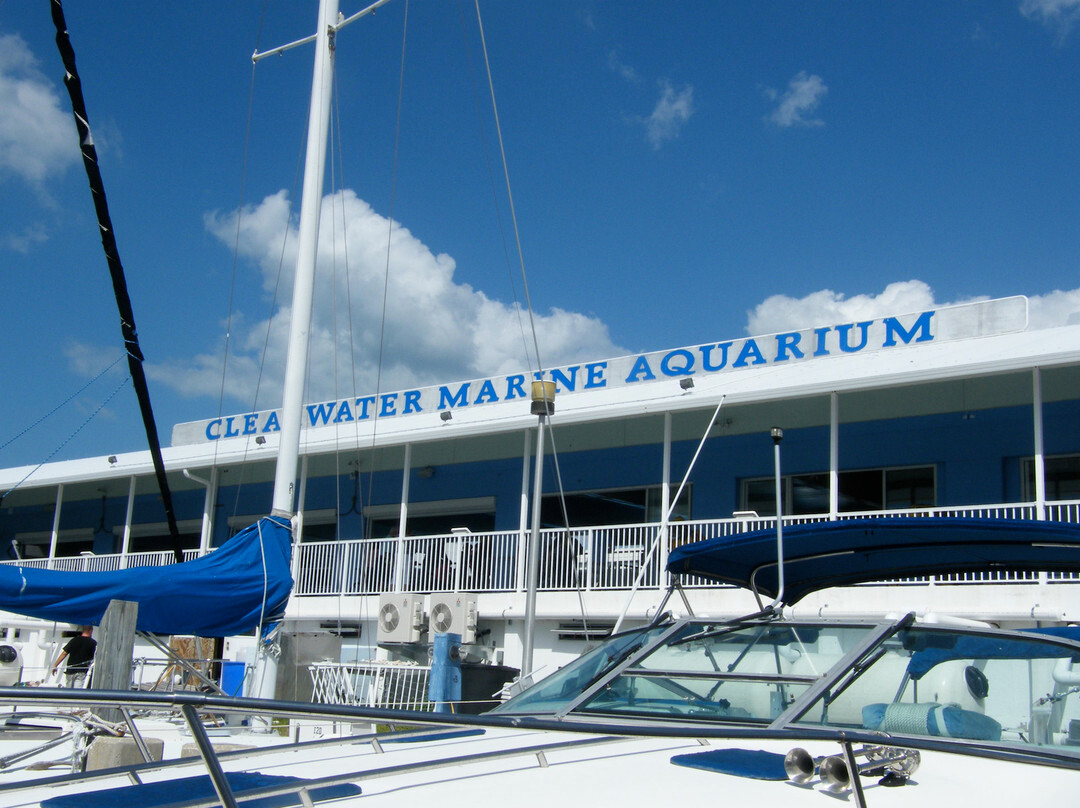 Clearwater Marine Aquarium-克利尔沃特必去景点