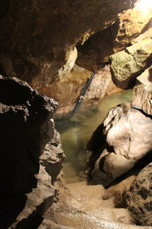 Seneca Caverns-Bellevue必去景点