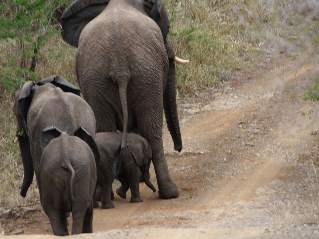 Heritage Tours & Safaris-圣露西亚必去景点