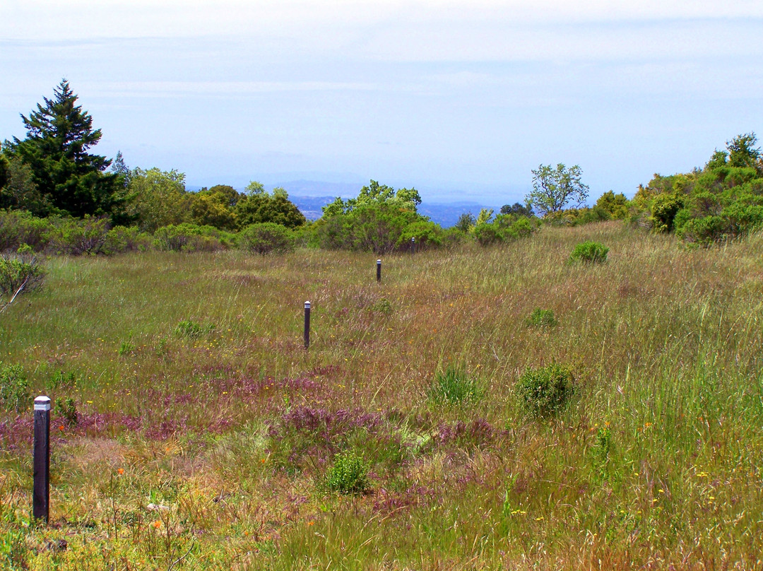 San Andreas Fault Trail-洛思阿图斯必去景点