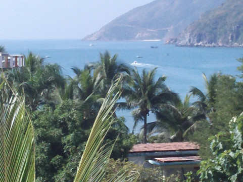 南中国大酒店主图