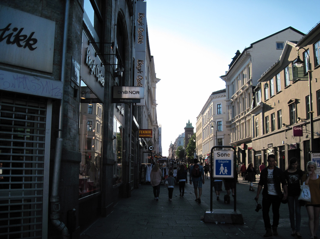 卡尔·约翰斯大道-奥斯陆必去景点