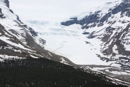 Wilcox Pass-贾斯珀国家公园必去景点