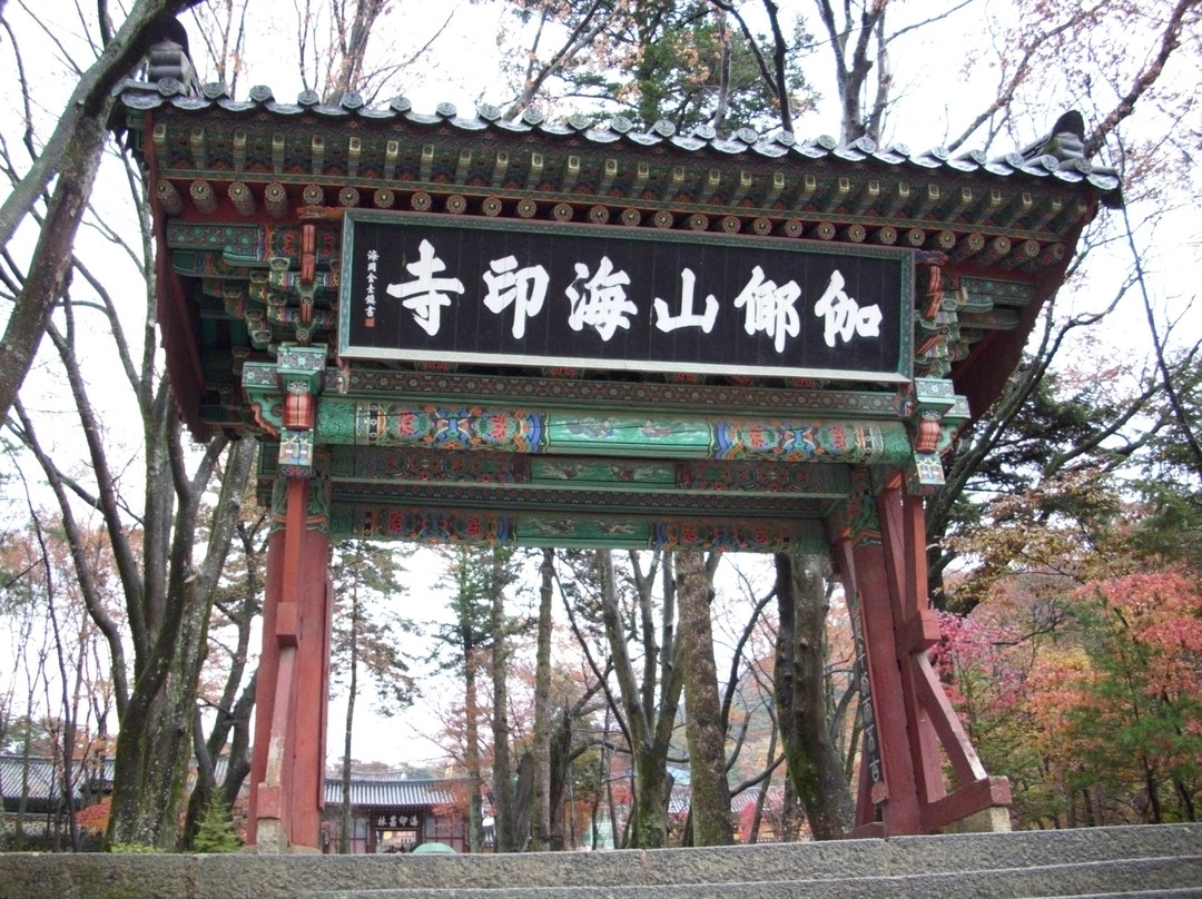 海印寺-陕州郡必去景点