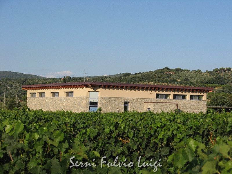 Azienda Agricola Serni Fulvio Luigi景点图片