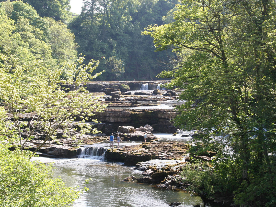 Aysgarth Falls景点图片