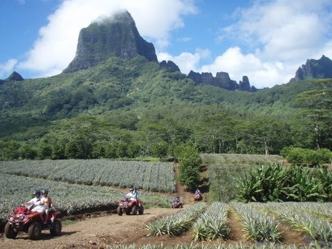 莫雷阿岛ATV之旅-莫雷阿岛必去景点